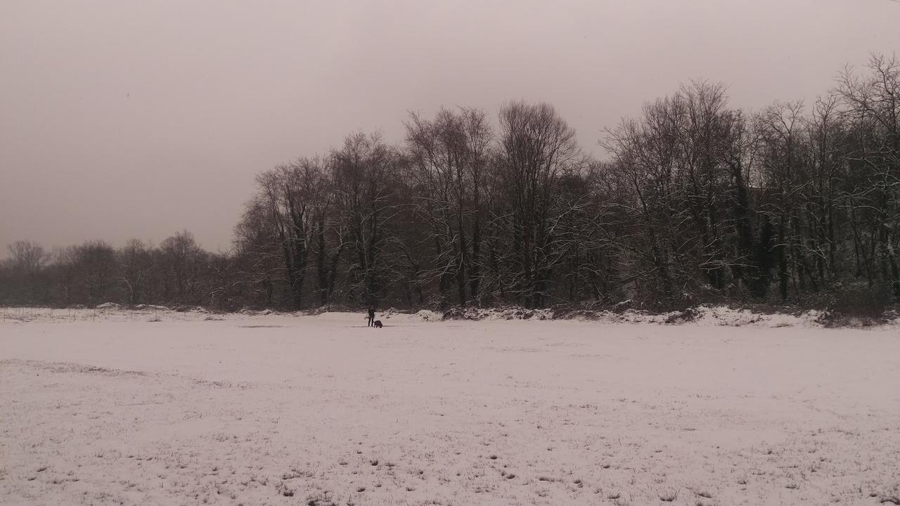 Hotel Del Parco Vigevano Zewnętrze zdjęcie