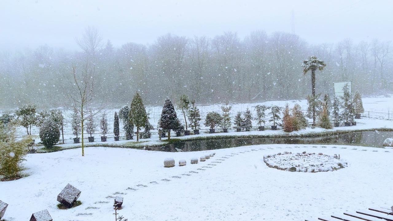 Hotel Del Parco Vigevano Zewnętrze zdjęcie